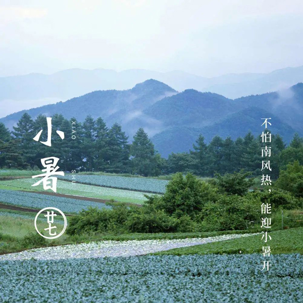 卡銳智能門窗|不負光陰，靜享小暑至